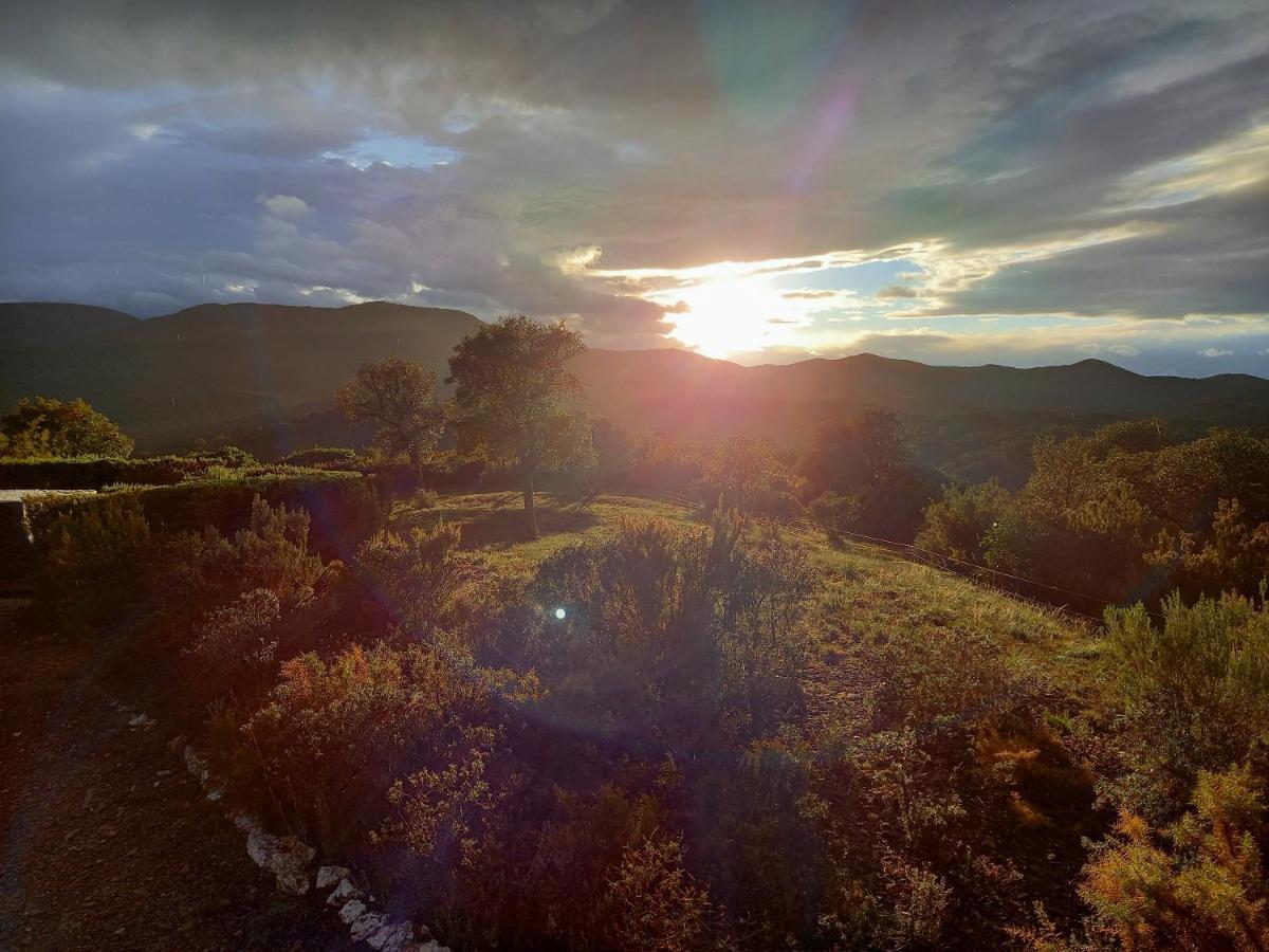 La Pantoufle Verte Montauriol (Pyrenees-Orientales) Exterior foto