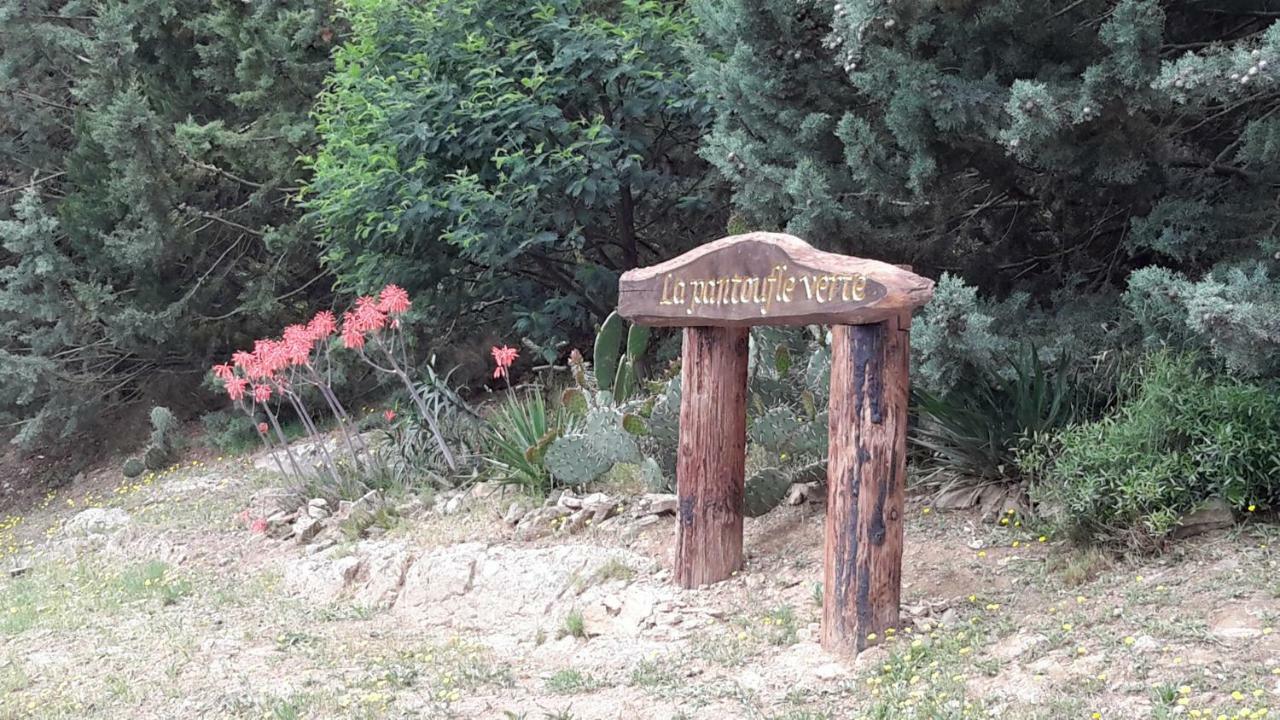 La Pantoufle Verte Montauriol (Pyrenees-Orientales) Exterior foto