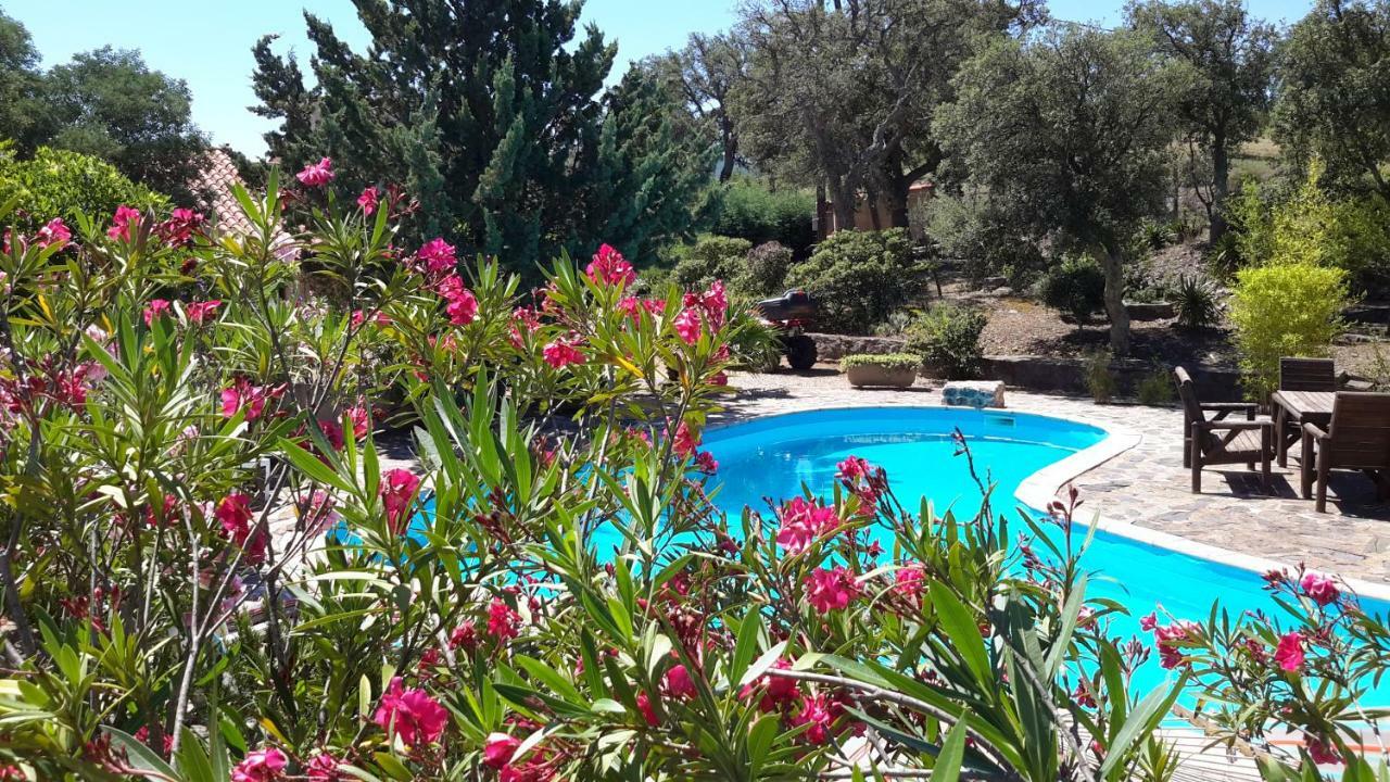 La Pantoufle Verte Montauriol (Pyrenees-Orientales) Exterior foto